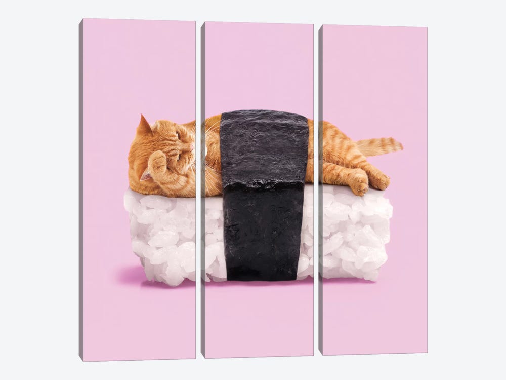 Sushi Cat by Paul Fuentes 3-piece Canvas Artwork