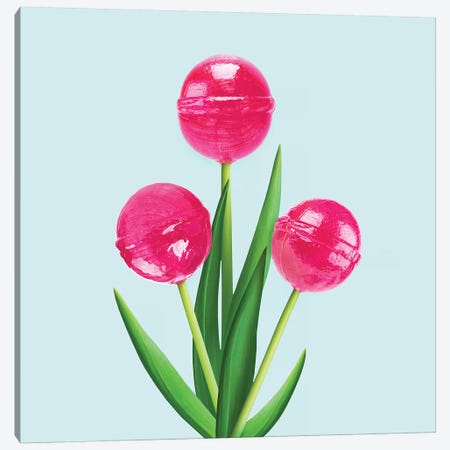 Lollipop Tulips Canvas Print #PFU54} by Paul Fuentes Canvas Artwork