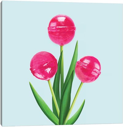 Lollipop Tulips Canvas Art Print - Candy Art