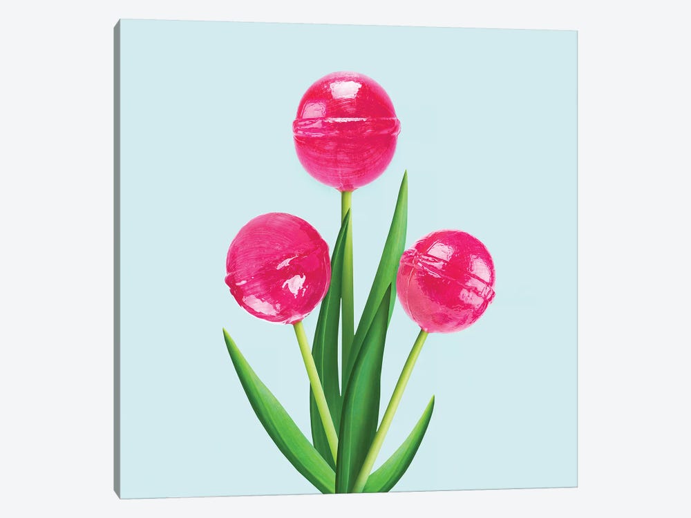 Lollipop Tulips by Paul Fuentes 1-piece Canvas Art
