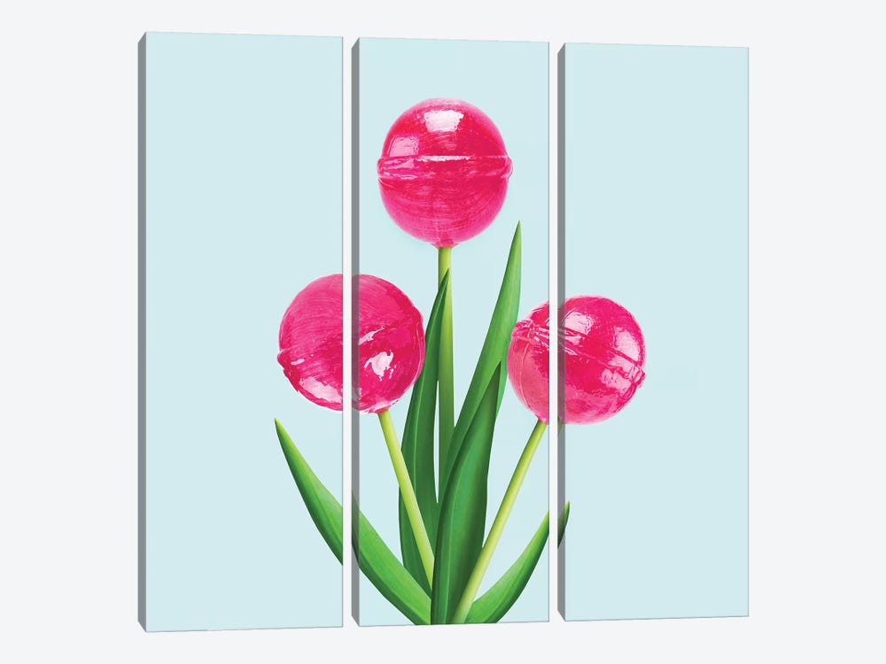 Lollipop Tulips by Paul Fuentes 3-piece Canvas Wall Art