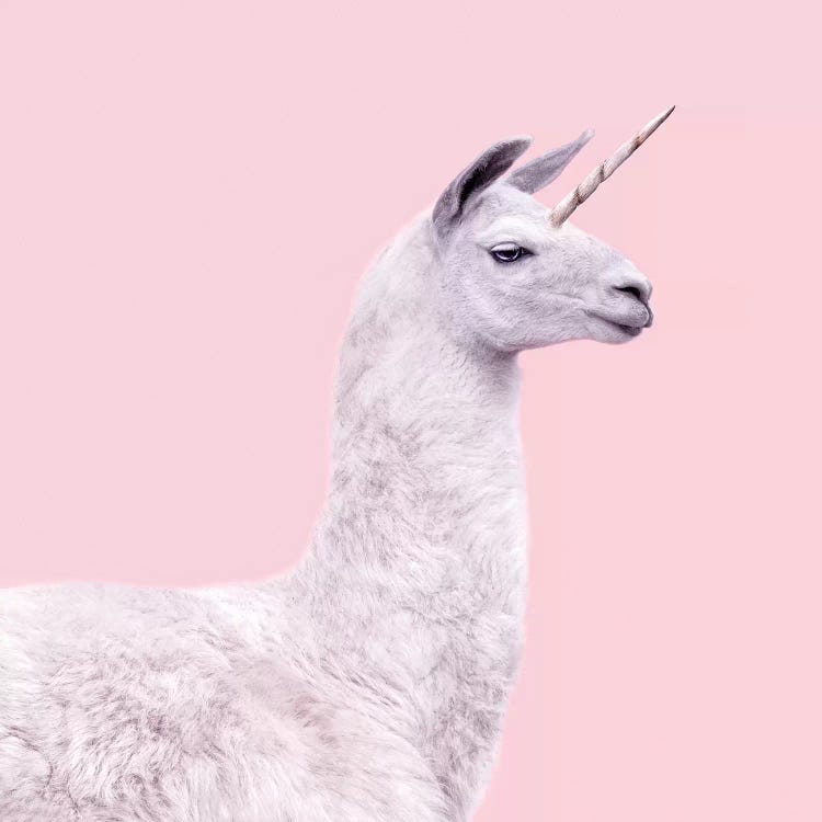 Unicorn Llama