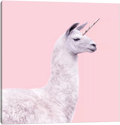 Unicorn Llama Canvas Art Print - Llama & Alpaca Art