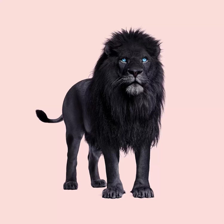 The Black Lion