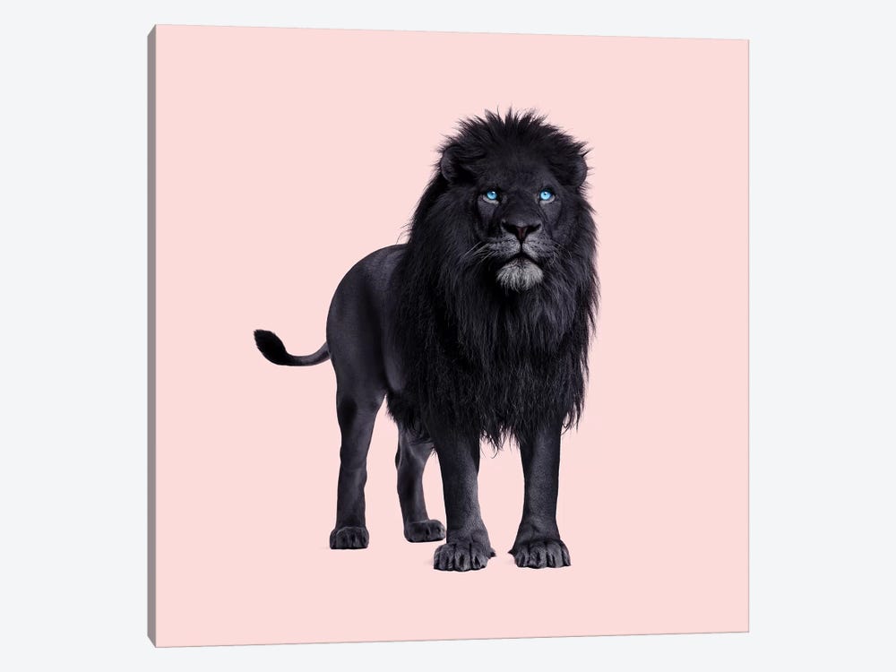 Black Lion by Paul Fuentes 1-piece Canvas Print