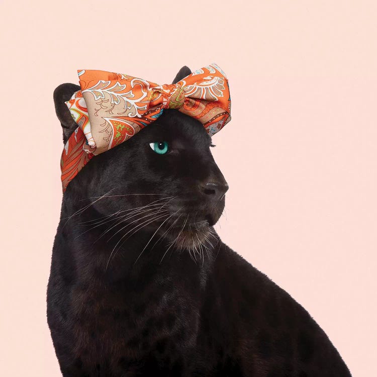 Fashion Panther