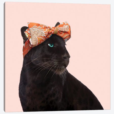 Fashion Panther Canvas Print #PFU61} by Paul Fuentes Canvas Wall Art