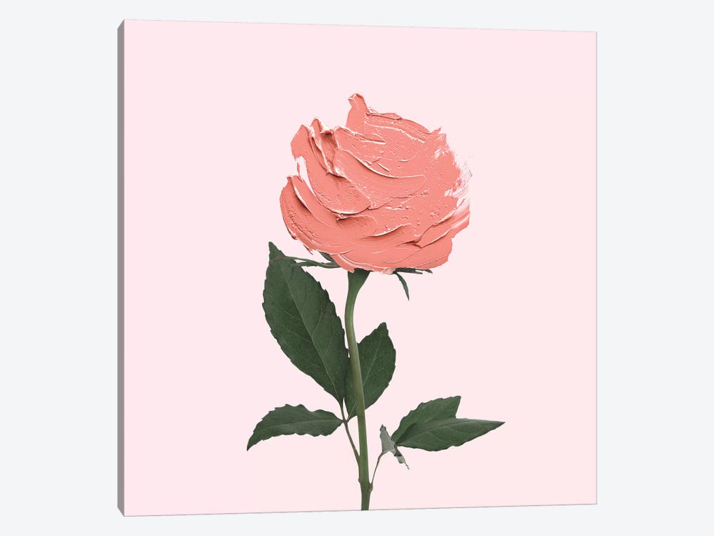Stroke Rose by Paul Fuentes 1-piece Canvas Wall Art
