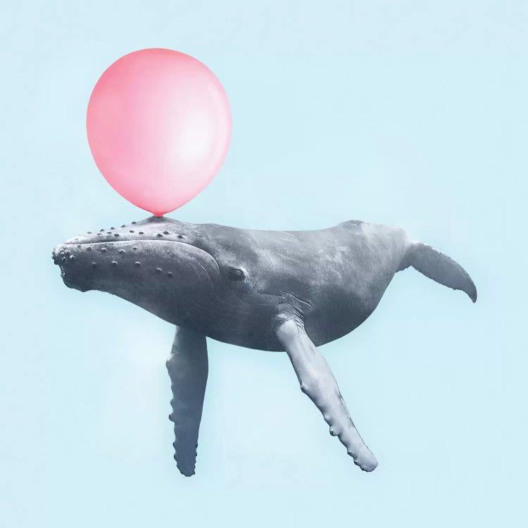 Bubblegum Whale