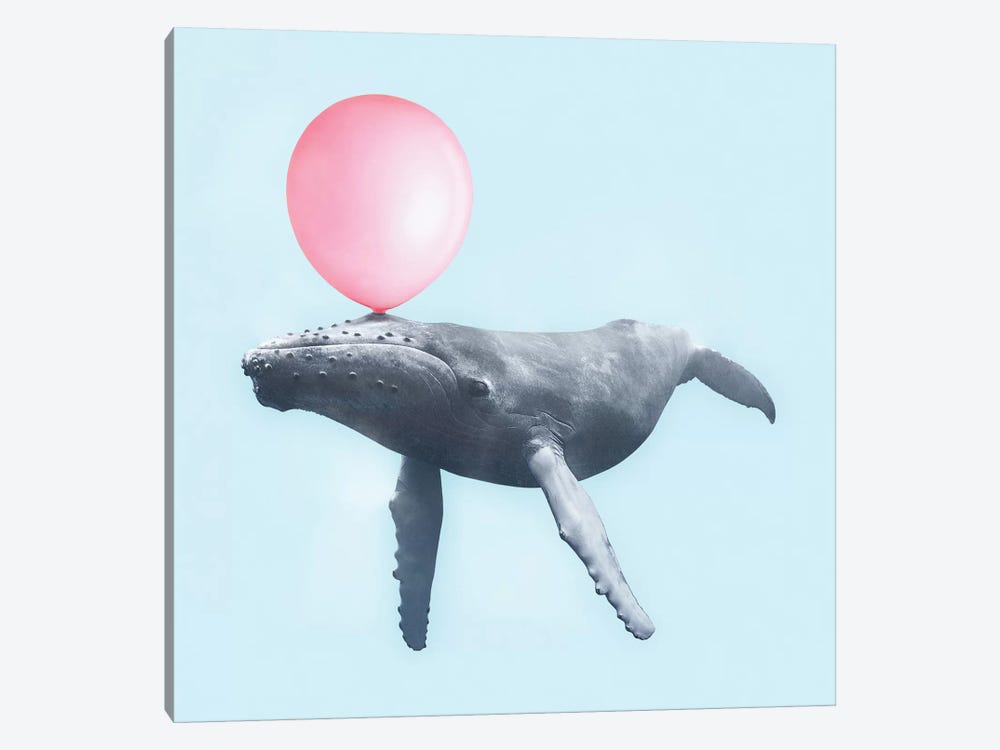 Bubblegum Whale by Paul Fuentes 1-piece Canvas Wall Art