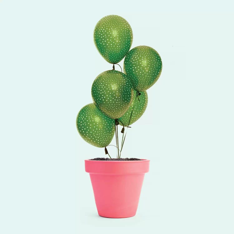 Cactus Balloon