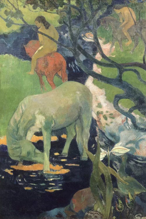 The White Horse by Paul Gauguin wall art