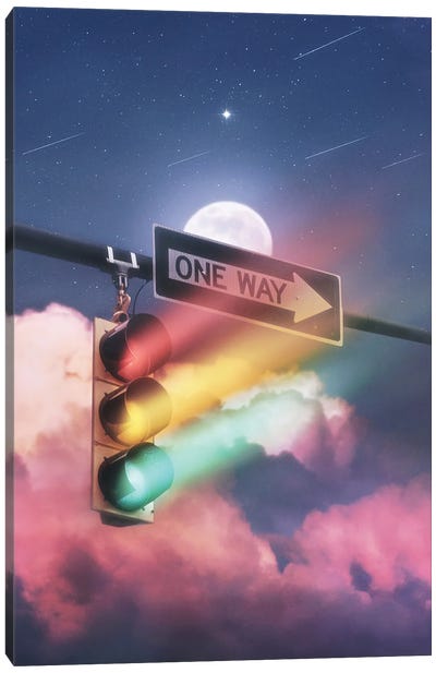One Way, Can't Be Right Canvas Art Print