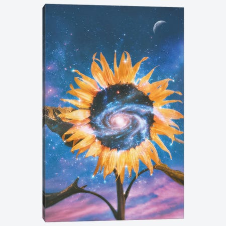 Sunflower Galaxy Canvas Print #PGY17} by Psguy2026 Canvas Art Print