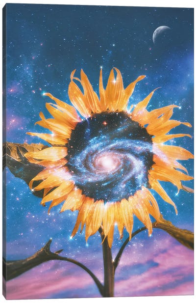 Sunflower Galaxy Canvas Art Print - Psguy2026