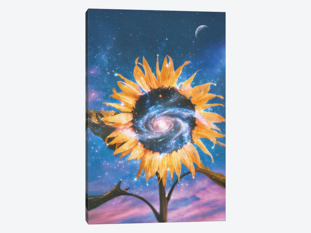 Sunflower Galaxy by Psguy2026 1-piece Art Print
