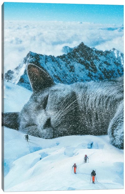 Winter Cat Nap Canvas Art Print - Skiing Art