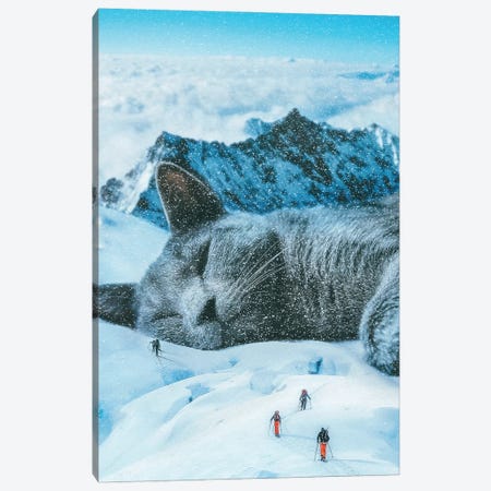 Winter Cat Nap Canvas Print #PGY23} by Psguy2026 Art Print