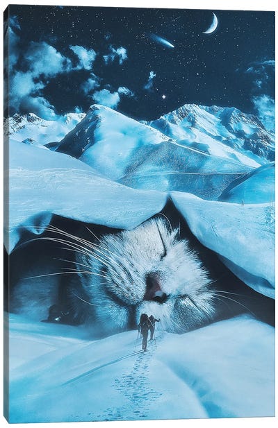 Winter Napping Canvas Art Print