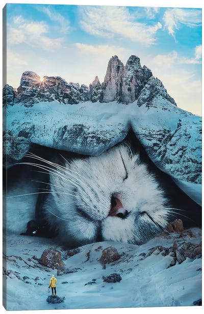 Cat Nap Canvas Art Print - Sleeping & Napping Art