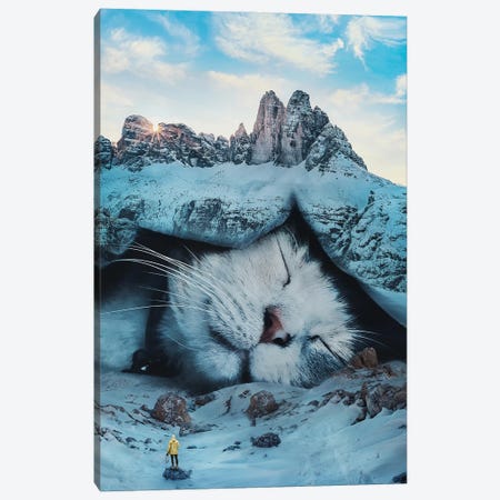 Cat Nap Canvas Print #PGY29} by Psguy2026 Canvas Art Print