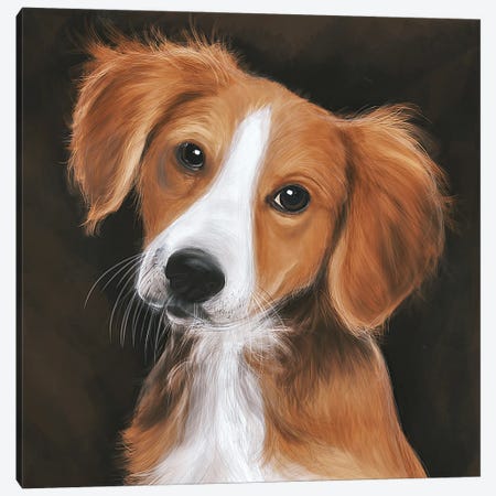 The Portrait Of A Dog Canvas Print #PGY33} by Psguy2026 Canvas Art