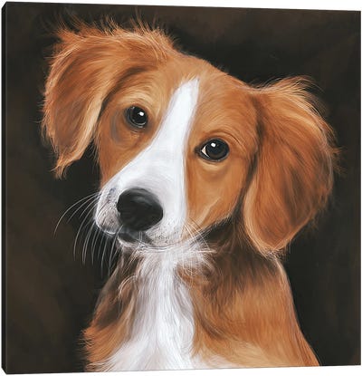 The Portrait Of A Dog Canvas Art Print - Psguy2026