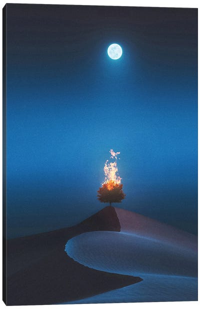 The Lonely Night Canvas Art Print - Psguy2026