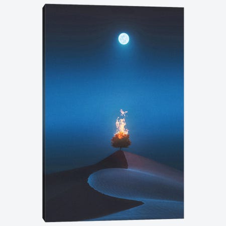 The Lonely Night Canvas Print #PGY34} by Psguy2026 Canvas Print