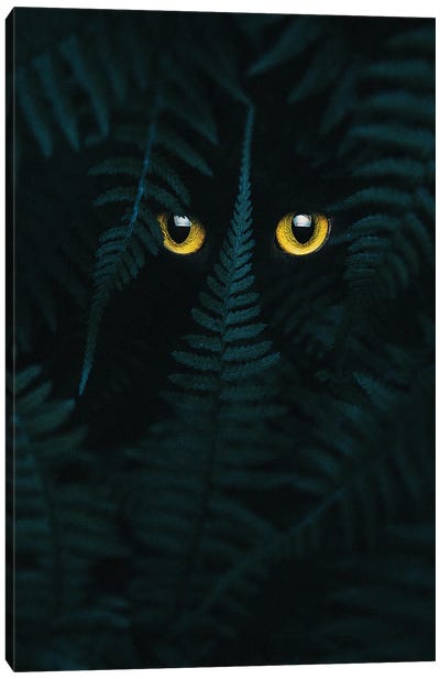 I Am Watching You Canvas Art Print - Psguy2026