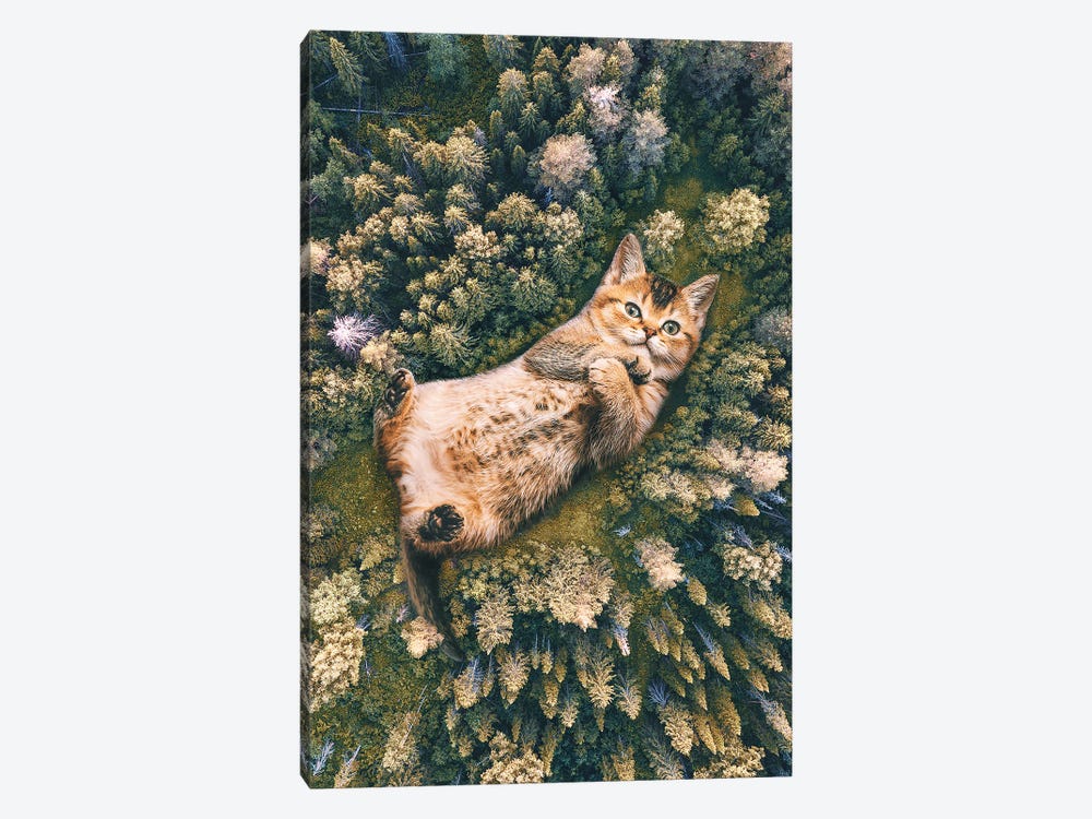 The Cutest Nature by Psguy2026 1-piece Canvas Wall Art
