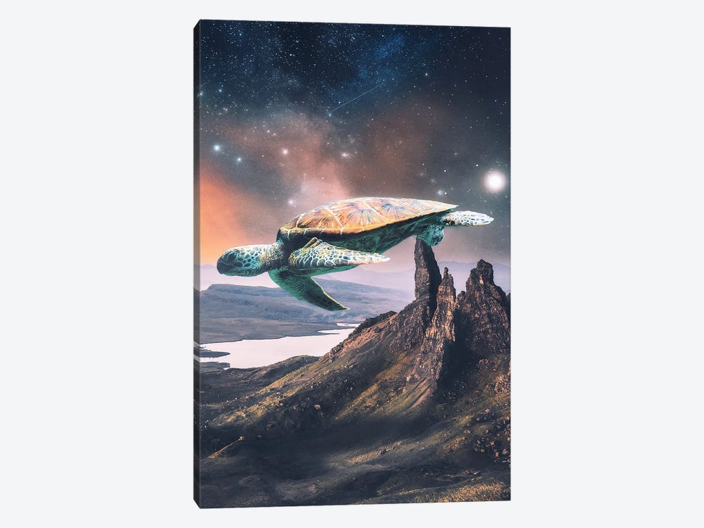 Flying Slow by Psguy2026 1-piece Canvas Art