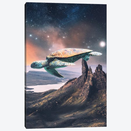 Flying Slow Canvas Print #PGY5} by Psguy2026 Canvas Artwork