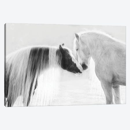Collection of Horses III Canvas Print #PHB100} by PHBurchett Canvas Art Print