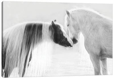 Collection of Horses III Canvas Art Print