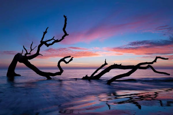 PH Burchett: Driftwood Beach by PH Burchett