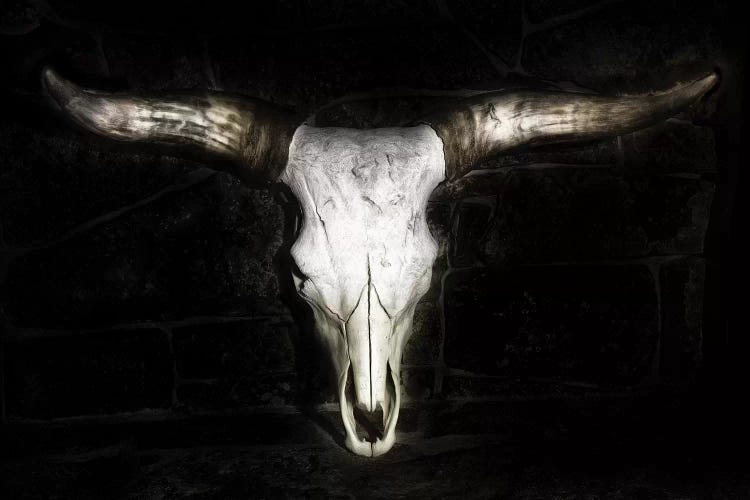 Cow Skull by PHBurchett wall art