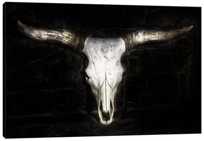 Cow Skull Canvas Art Print - Cow Art