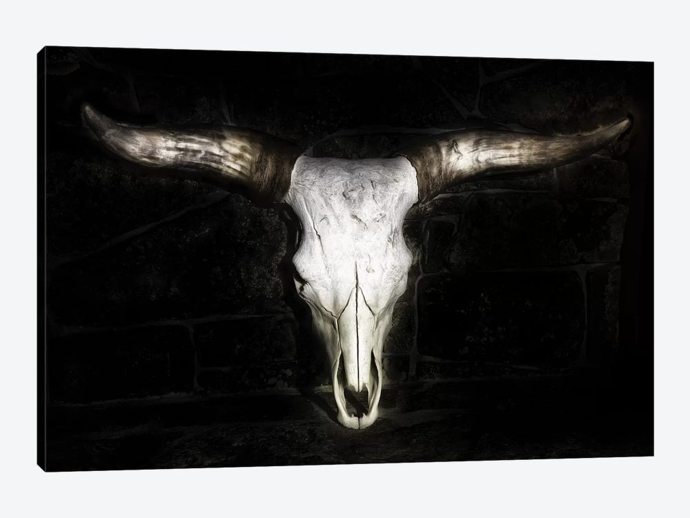 Cow Skull by PHBurchett 1-piece Canvas Print
