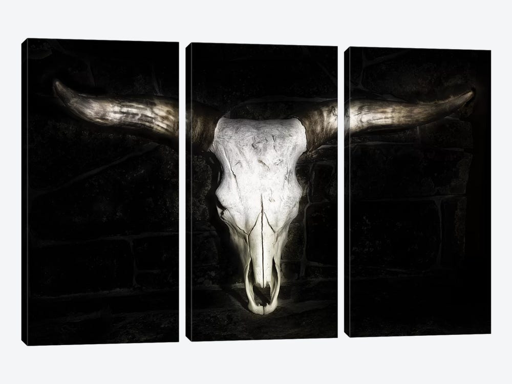 Cow Skull by PHBurchett 3-piece Canvas Print