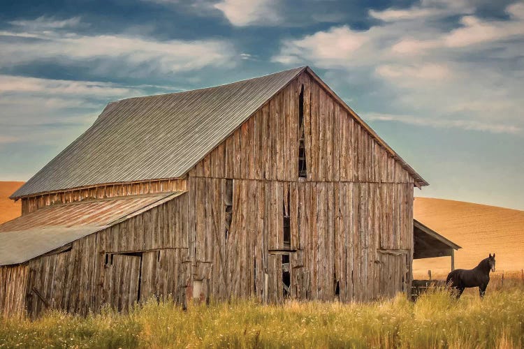 Farm & Field VI