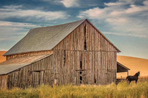 Photography: Farm & Field VI by PH Burchett