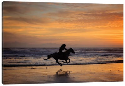 Sunkissed Horses IV Canvas Art Print - Sandy Beach Art