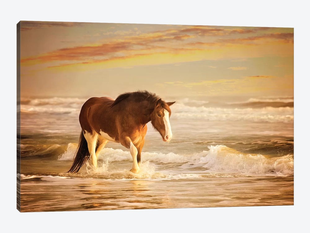 Sunkissed Horses V by PHBurchett 1-piece Canvas Artwork