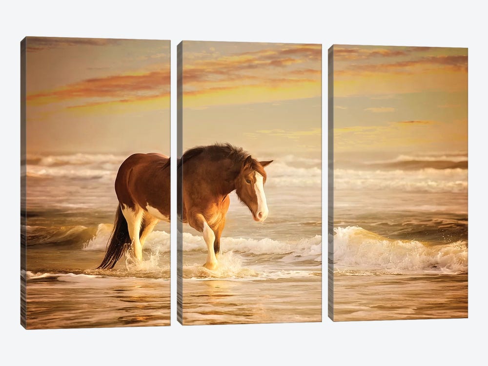Sunkissed Horses V by PHBurchett 3-piece Canvas Artwork