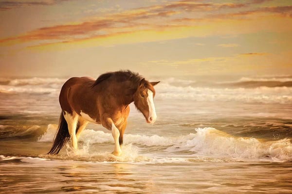 PH Burchett: Sunkissed Horses V by PH Burchett