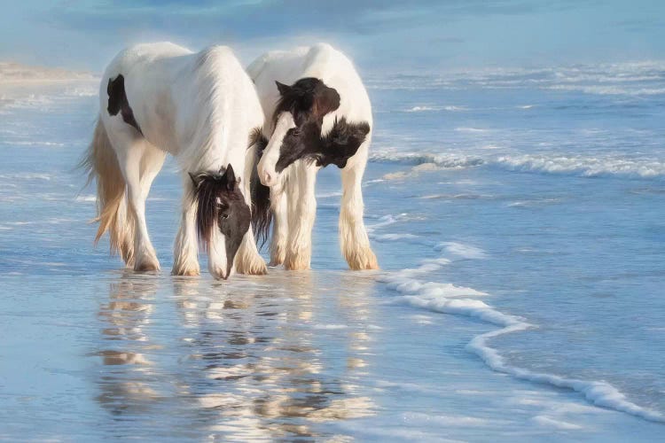 Water Horses I