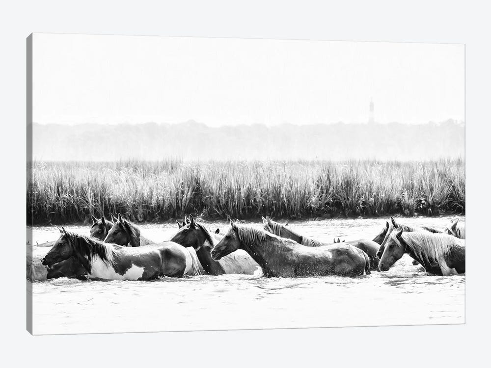 Water Horses III by PHBurchett 1-piece Canvas Wall Art