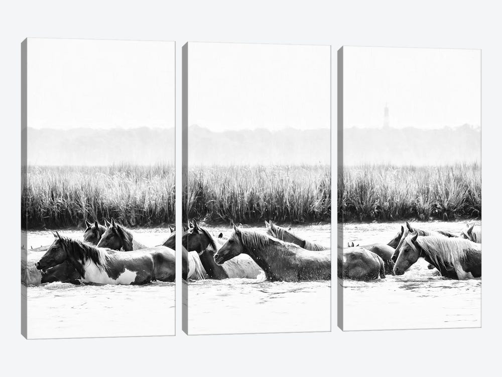 Water Horses III by PHBurchett 3-piece Canvas Wall Art