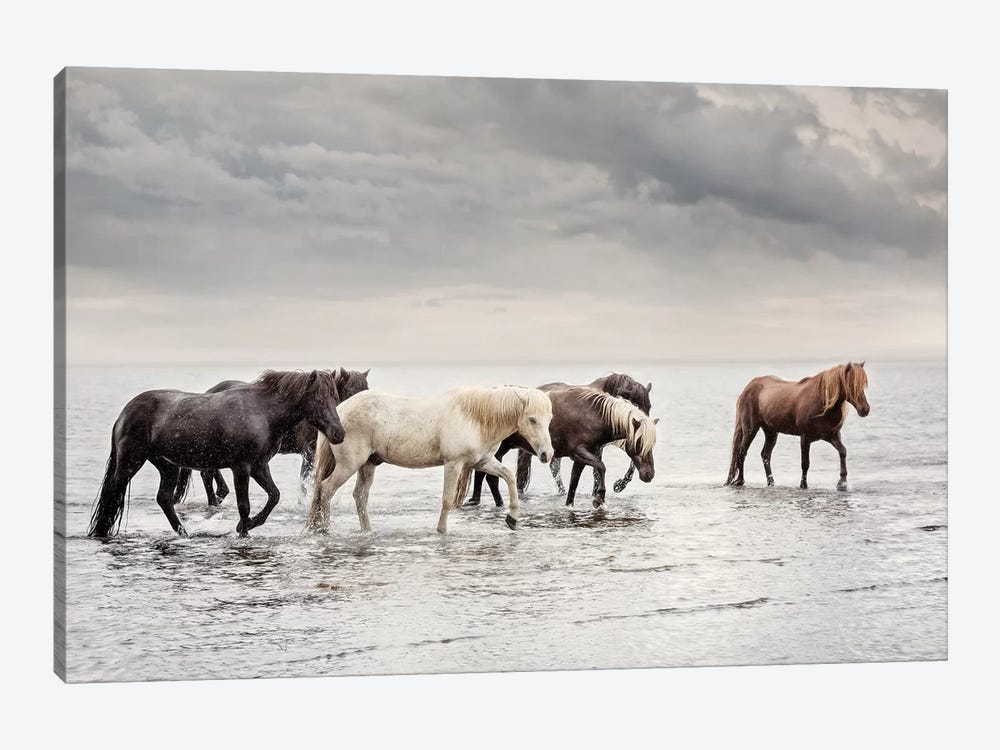Water Horses IV by PHBurchett 1-piece Art Print